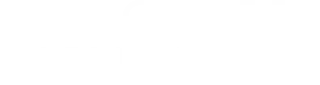 CAREER INCUBATION